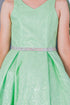 Big Girls Multi Color Glitter Mesh V Neck Short Dress 4-16